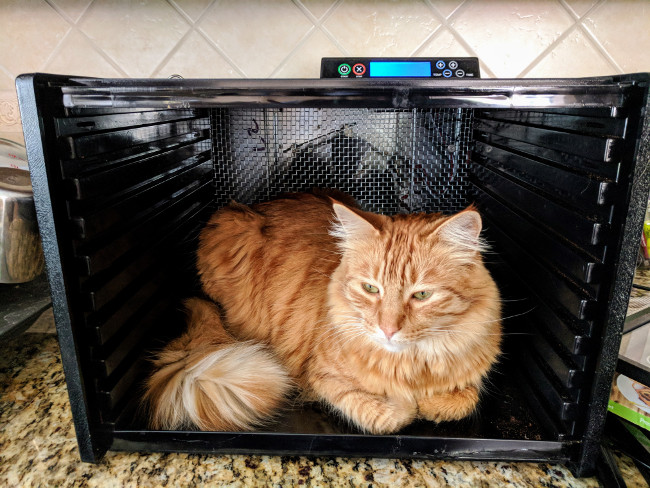 cat dehydrator 