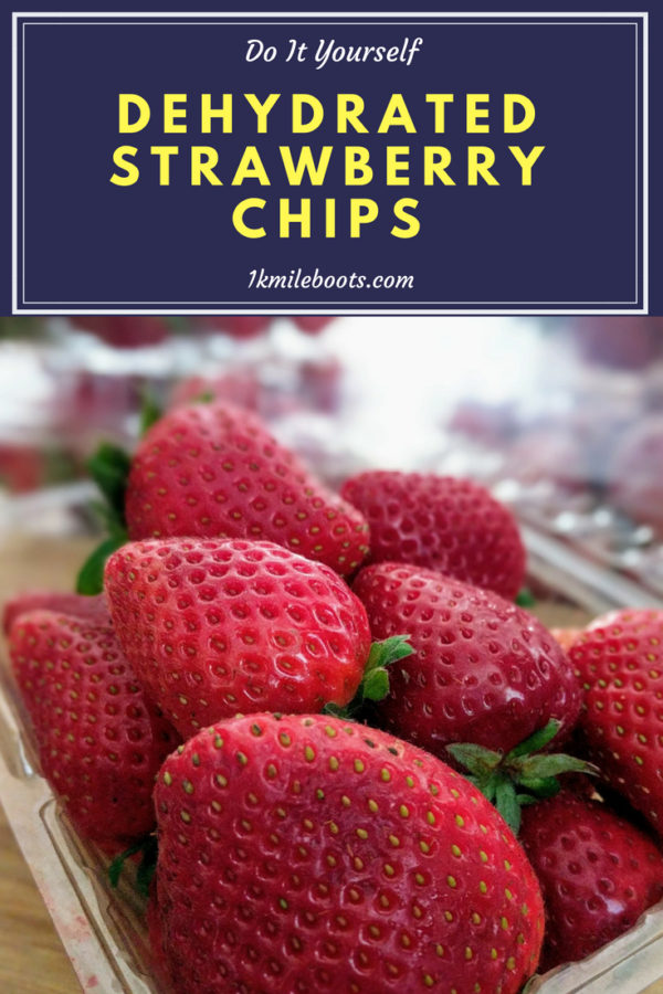 pinterest dehydrated strawberry pin