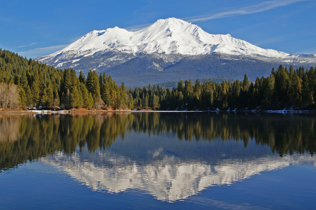 mount shasta trinity campgrounds