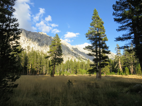 campsites national park california