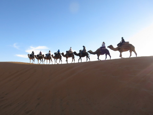 Camel Ride Morocco Jan 2016